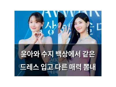 윤아와 수지 백상에서 같은 드레스 입고 다른 매력 뽐내