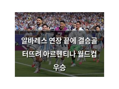 알바레스 연장 끝에 결승골 터뜨려 아르헨티나 월드컵 우승