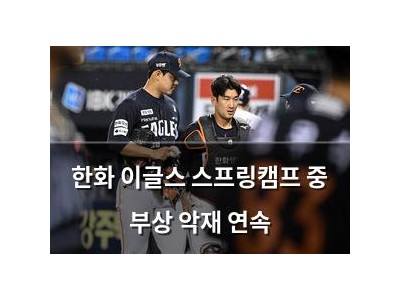 한화 이글스 스프링캠프 중 부상 악재 연속