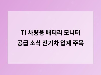 TI 차량용 배터리 모니터 공급 소식 전기차 업계 주목