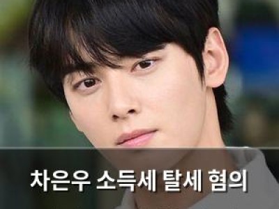 차은우 소득세 탈세 혐의 인정 200억 세금 추징 통보받아