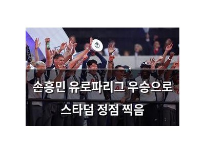 손흥민 유로파리그 우승으로 스타덤 정점 찍음