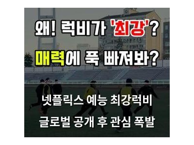 넷플릭스 예능 최강럭비 글로벌 공개 후 관심 폭발