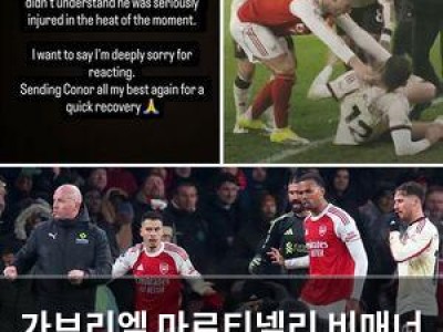 가브리엘 마르티넬리 비매너 논란에 사과문 올려