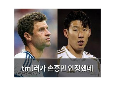 tml러가 손흥민 인정했네