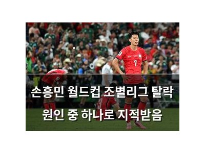 손흥민 월드컵 조별리그 탈락 원인 중 하나로 지적받음