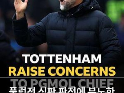 풀럼전 심판 판정에 분노한 토트넘 공식 항의