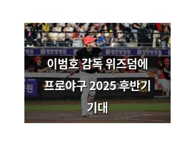 이범호 감독 위즈덤에 프로야구 2025 후반기 기대