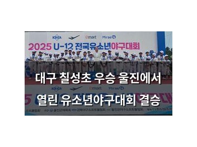대구 칠성초 우승 울진에서 열린 유소년야구대회 결승