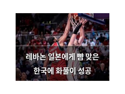 레바논 일본에게 뺨 맞은 한국에 화풀이 성공
